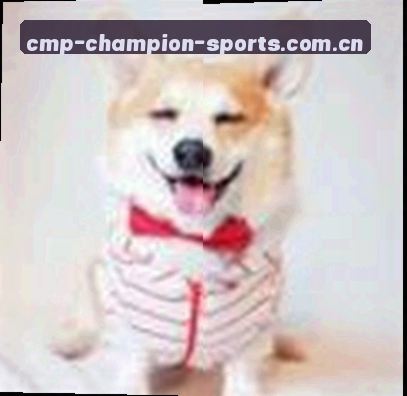 吴婷